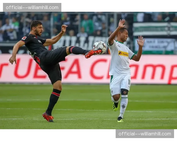 门兴中场组织核心 赖茨卡斯特罗普搭档承担进攻发起责任